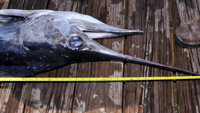 Ocean City Council has decided to end its annual $5,000 incentive to an angler who catches the first white marlin of the season.