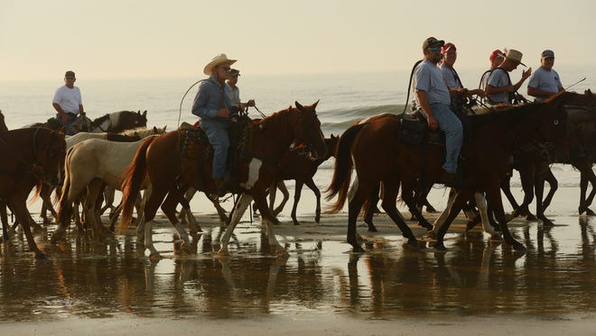 Saltwater Cowboys lead the northern herd of Chincoteague Ponies down the beach at Assateague Island, Va. on their way to the pony corral on Monday morning, July 25, 2016. The 91st Annual Chincoteague Pony Swim is Wednesday.