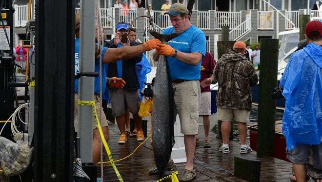 The Hog Wild brought in a 55 pound Wahoo caught by Gary Capuano on the first day of The White Marlin Open at Harbour Island Marina in Ocean City, Md. on Monday, August 7, 2017.