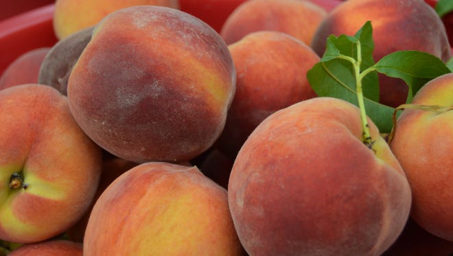 Fresh peaches from Fifer Orchards at the Rehoboth Beach Farmers Market.