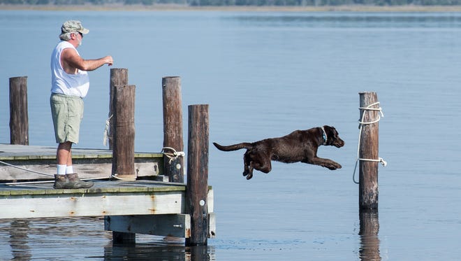 Bruce Emely plays fetch with his dog Gus at a dock on Ape Hole Road on Sunday, Nov. 5, 2017.