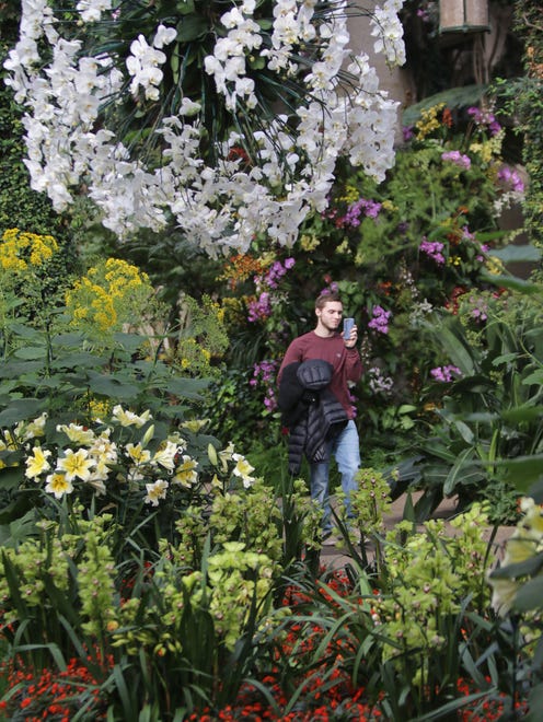A visitor to Longwood Gardens enjoys the orchid extravaganza now on display.