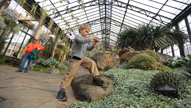 5 year-old Bryce Theurer, of Halifax, Pa., takes a photograph in the Tropical Terrace of the Conservatory at Longwood Gardens.