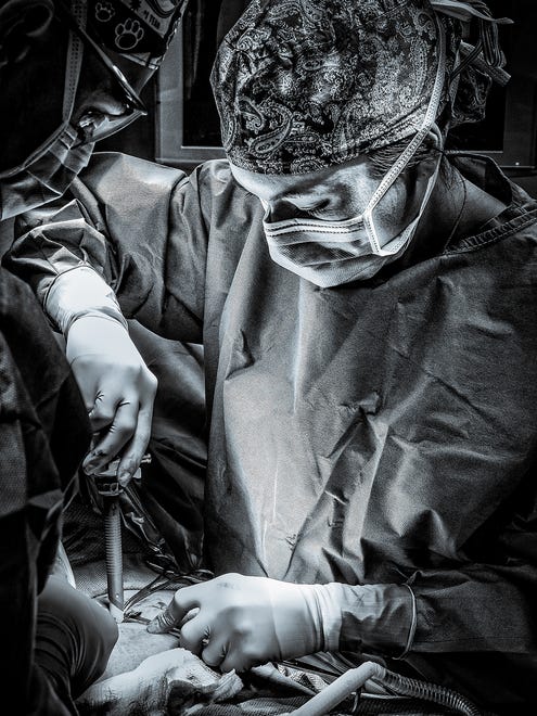 “Delicacy of Touch,” a Thomas Mammen photo showing a Bovie electrocautery tool in use, earned a bronze award in the 2018 Wilmington International Exhibition of Photography.