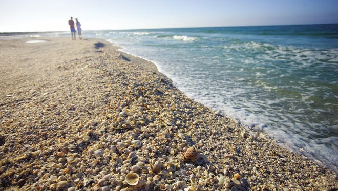Sanibel and Captiva, sister islands off the southwest coast of Florida, are probably the most famous spots for shelling in the USA.