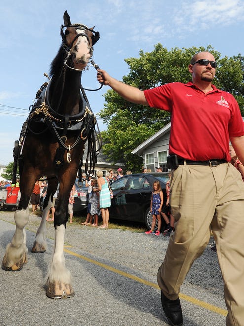 Thousands turned out for the 2nd Annual "Great American Summer Celebration" Parade held in Dewey Beach on Wednesday, July 12.  The event, sponsored by the Dewey Business Partnership, featured local floats, a string band from Philadelphia and the Budweiser Clydesdales.