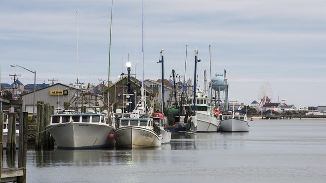A view of the Ocean City Commercial Fishing Harbor.