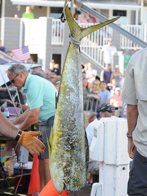 Sea Flame has brought in a 39 pound tuna to become the new leader. This fish could be worth $17,000. During the 43rd Annual White Marlin Open on the last day of the tournament. Megan Raymond Photo