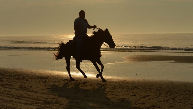 Saltwater Cowboy Bobby Lappin races down the beach ahead of the northern herd of Chincoteague Ponies as they are led down the beach at Assateague Island, Va. on their way to the pony corral on Monday morning, July 25, 2016. The 91st Annual Chincoteague Pony Swim is Wednesday.