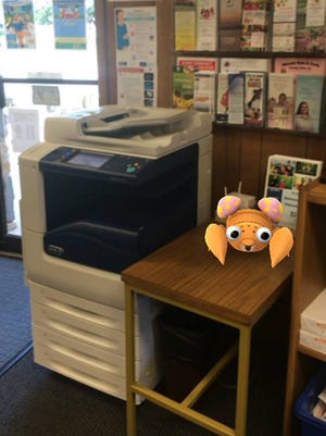 A wild Pokèmon appears in the Worcester County Library in Berlin.