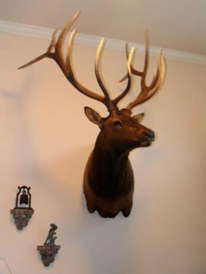 A mounted Elk's head went missing after a party last Friday night, New Castle County Police said.