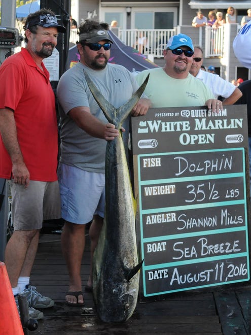 Competitors weigh in at the White Marlin Open on Thursday.