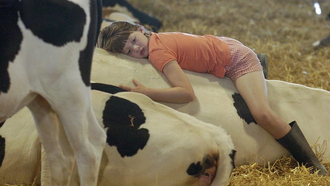 2007: Colleen Anderson, of Milton, rests on one of her cows. See more vintage images of the Delaware State Fair.