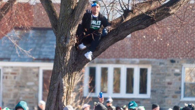 An Eagles fan catches a beer while sitting in a tree waiting for the Eagles Super Bowl Parade to pass at Broad St and Geary St.