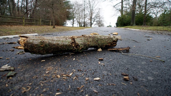 Downed tree branches rest in the middle of Edgehill Road in the Westover Hills neighborhood Monday morning.