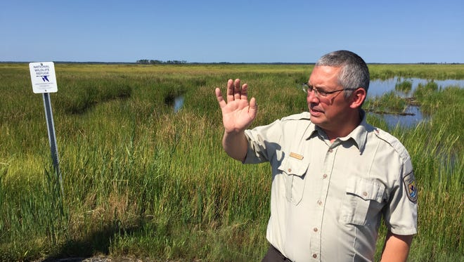 Matt Whitbeck, a wildlife biologist at Blackwater National Wildlife Refuge, discusses a recent project that restored about 40 acres of saltwater marsh.