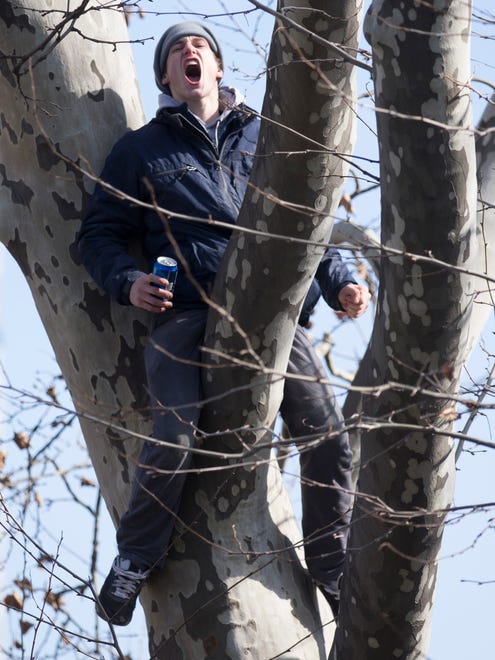 A Philadelphia Eagles fan yells from a tree during the Super Bowl LII parade on February 8, 2018 in Philadelphia, Pennsylvania.