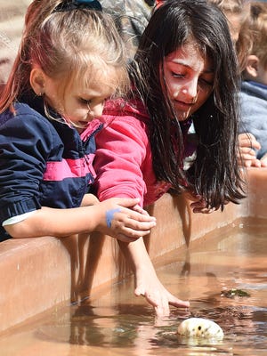 The touch tank was a popular stop as Coast Day was held at the University of Delaware College of Earth, Ocean and Environment in Lewes in 2014