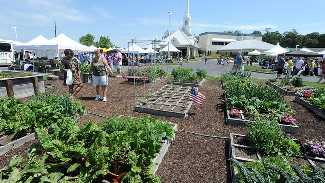 Great weather brought out a good crowd for "Veggie Fest."
