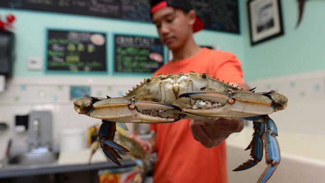 Patrick Mochiam, holds a fresh jumbo crab at South Bethany Seafood on Thursday, August 17, 2017.