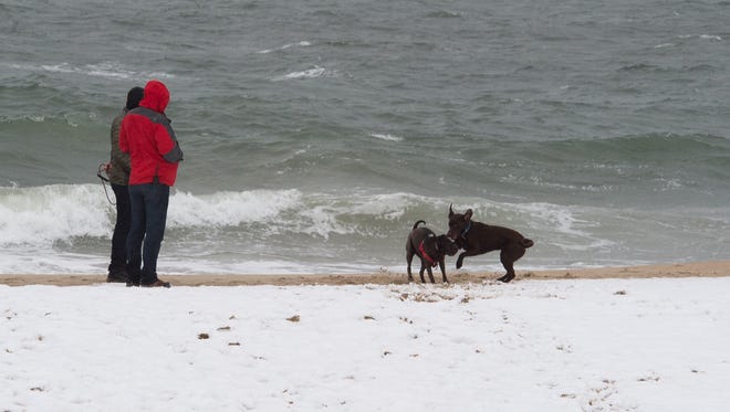 Dogs play on the snow covered beach at Rehoboth Beach.