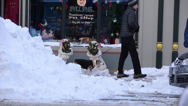 A man walks his dog down main street in Lewes on Friday, Jan. 5, 2018.