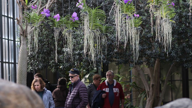 Visitors to Longwood Gardens enjoy the orchid extravaganza now on display.