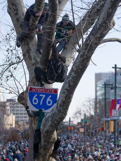 Philadelphia Eagles fans attempt to climb a tree during the Super Bowl LII parade on February 8, 2018 in Philadelphia, Pennsylvania.