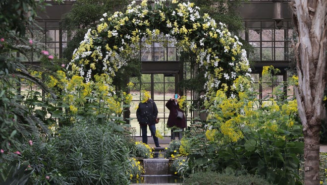 Visitors to Longwood Gardens enjoy the orchid extravaganza now on display.