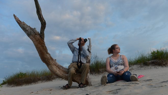 Roger Lemaster takes photographs as he sits on a dead tree at the beach on Assateague while he and his niece Jennifer Fyffe wait for the northern herd of Chincoteague Ponies to be led down the beach on Monday morning, July 25, 2016. The 91st Annual Chincoteague Pony Swim is Wednesday.