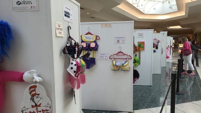 Imaginatively decorated bras will be on display at The Centre at Salisbury mall through May 31.