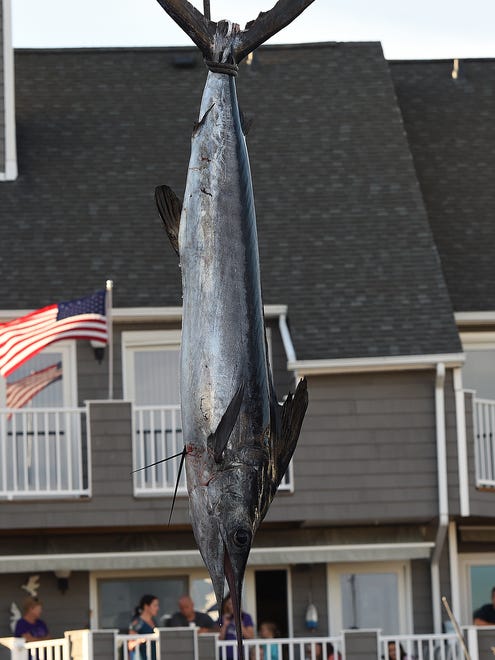 A 70 inch, 86 pound White Marlin was caught by angler Mike Donahue from Wilmington, Del. aboard the boat "Griffin" from Palm Beach, Fla. as Day 3 of the 44th Annual White Marlin Tournament in Ocean City brought in several White Marlin for the Leader Board as 2 days of fishing remain.
Special to the Daily Times / Chuck Snyder