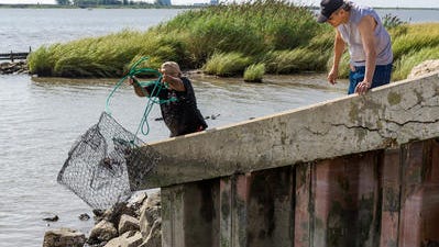 Catch your own crab in Delaware waters.
