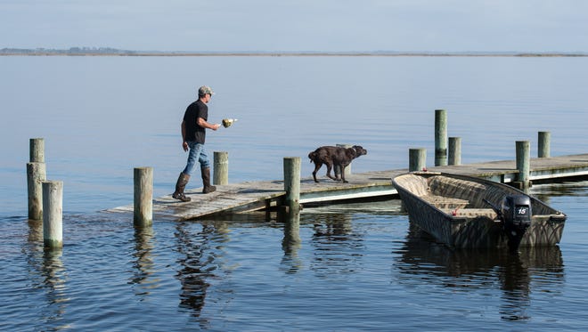 Bo Godwin, of Solomons, and Gus walk along a partially submerged dock on Ape Hole Road on Sunday, Nov. 5, 2017.