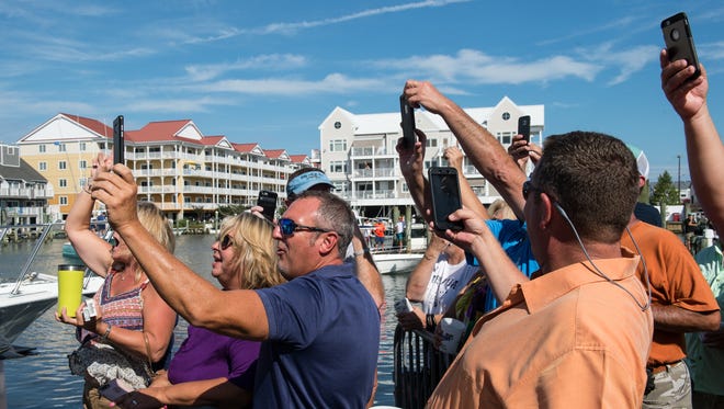 Crowd members take photos as a marlin is brought into Harbour Island Marina during the final day of the White Marlin Open on Friday, Aug. 11, 2017.
