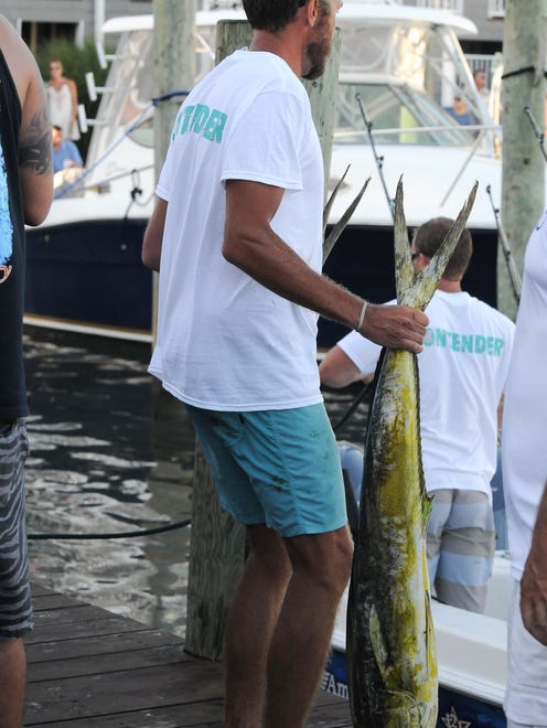A competitor loads his dolphins back on the boat after weighing in on the fourth day of the 43rd White Marlin Open.