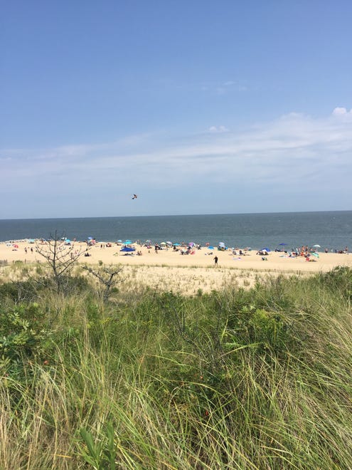 The Great American Eclipse of 2017 reached its peak at Cape Henlopen State Park around 2:30 p.m.