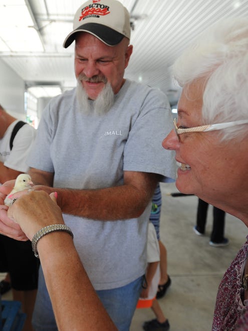 2015: Frank Noll and Maureen Moffett hold a baby chicken. See more vintage images of the Delaware State Fair.