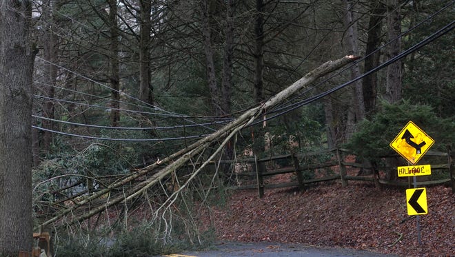 A tree rest on power lines blocking traffic along Centerville Road near Hillside Road Monday morning.