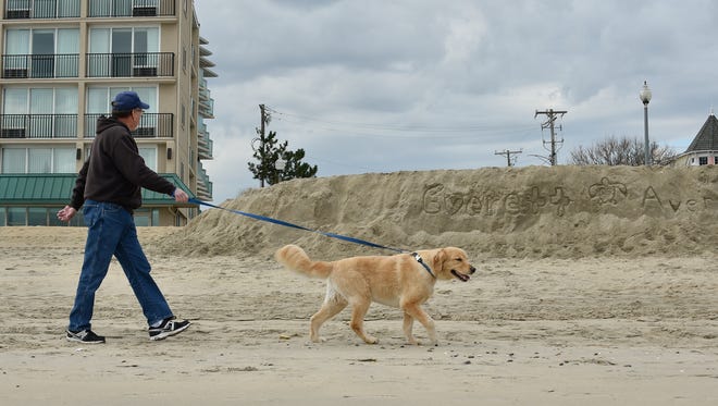 Alex Krawchuk of Millsboro walks his dog, Travis, next to a sand cliff that formed from the latest nor'easter that hit Rehoboth Beach.