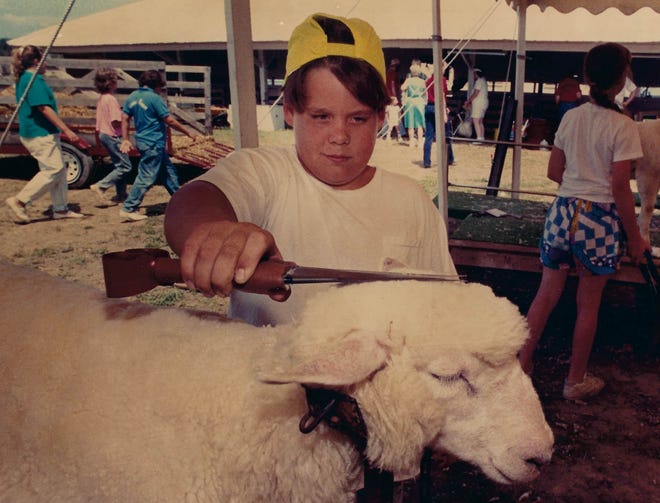 990: Joey Melvin, of Milton, gives his sheep Daisey a trim. See more vintage images of the Delaware State Fair.