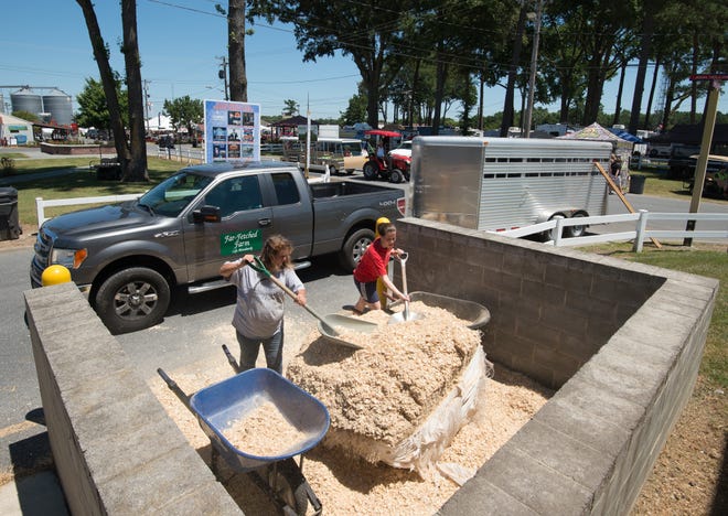 Animal bedding being shoveled into wheelbarrows at the 99th annual Delaware State Fair in Harrington.