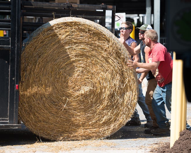 Hay bales being removed from a trailer at the 99th annual Delaware State Fair in Harrington.