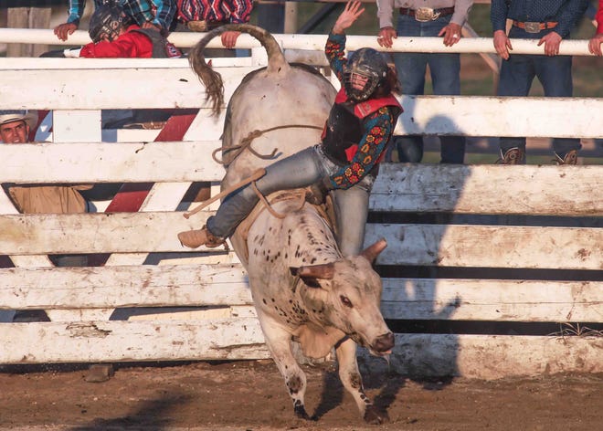 Lauren Ehrlich in the bull-riding competition Saturday, July 28, 2018, at the Cowtown Rodeo in Pilesgrove, NJ.