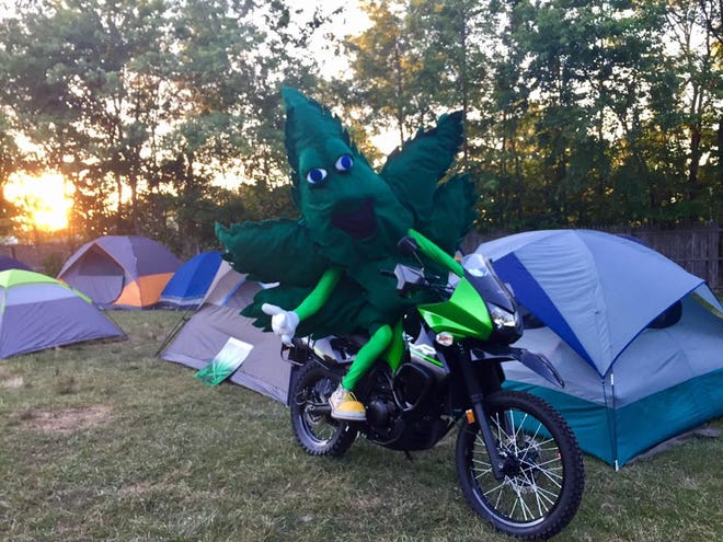 Hempy Leaf, the mascot of Delaware NORML, takes a seat and poses for a photo at last year's Weedstock.
