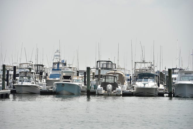Boats docked at the Indian River Marina.