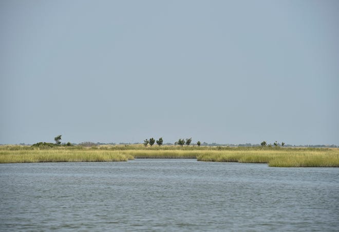 View of a area of shoreline in the Rehoboth Bay.