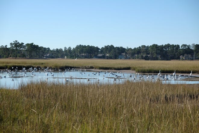 Proponents of the density calculation ordinance say it will help protect wetlands.