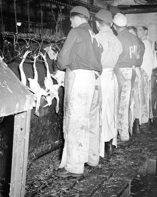 German prisoners of war worked in Delaware poultry processing plants during World War II.