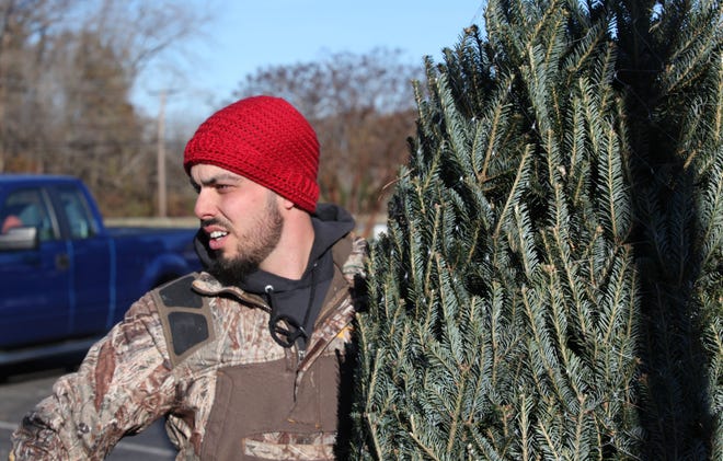 Richard Seewald waits to load a Christmas Tree Friday morning at Willey Farms.